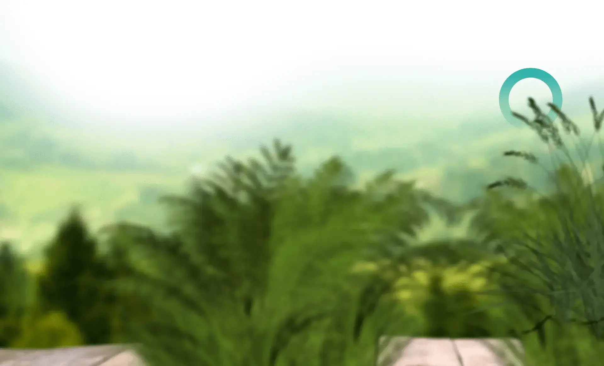 Minerelax Banner
