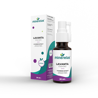 Doğanın Şifa Deposu: Lavanta